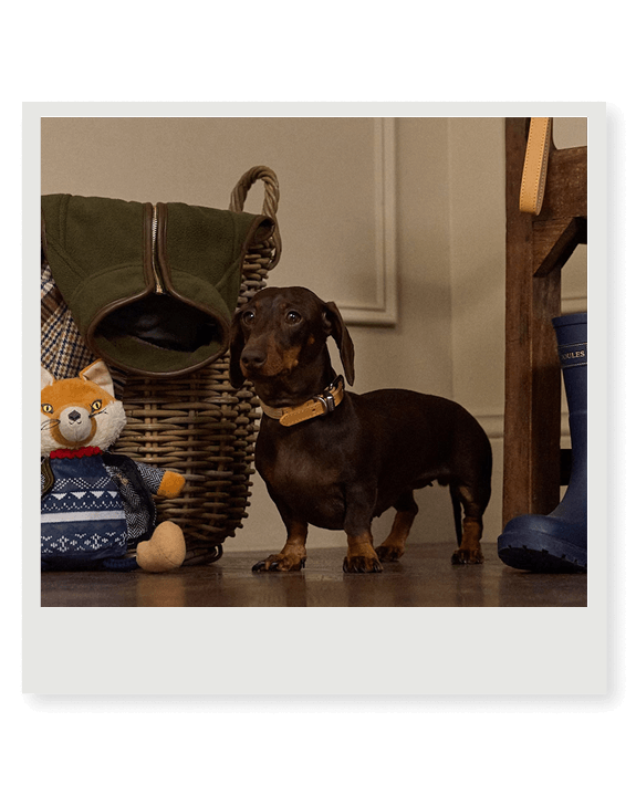 Gifts For Pets