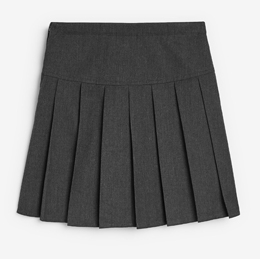 sic-skirt (1) sic-skirt (1)