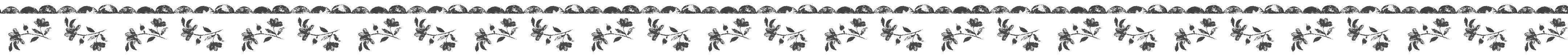 CK_LP_DecorativeDivider03_Cath_Kidston_DT.png