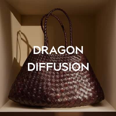 DRAGON DIFFUSION